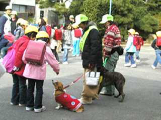 パトロール中の犬と小学生