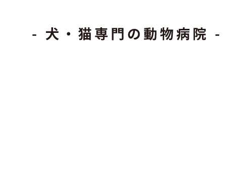 ルナ動物病院