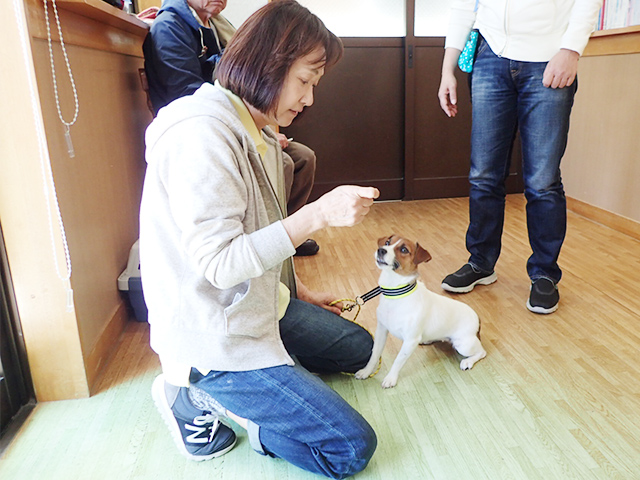 わんちゃん教室 ルナ動物病院ではしつけ教室も行っております