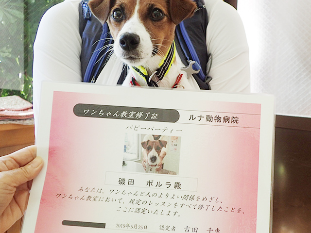 卒業証書と犬